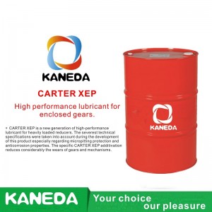 KANEDA CARTER XEP Lubrificante ad alte prestazioni per ingranaggi chiusi.